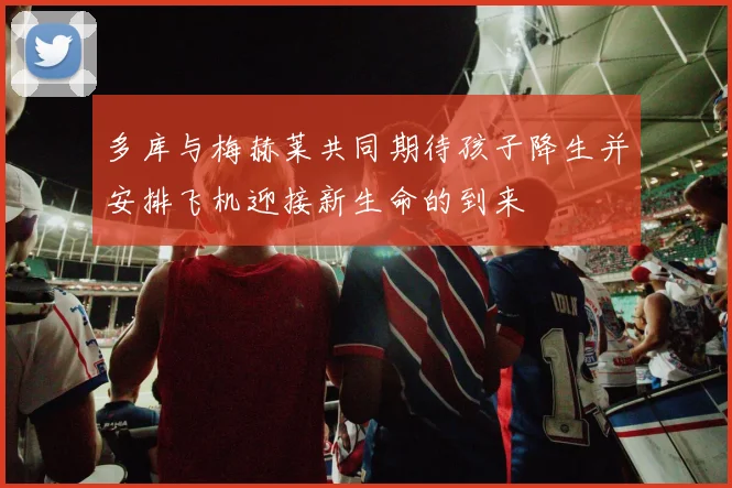多库与梅赫莱共同期待孩子降生并安排飞机迎接新生命的到来